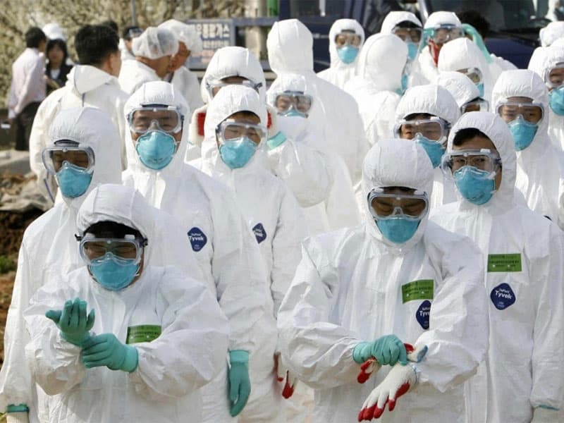В столице Олимпийских игр-2018 зафиксирована вспышка птичьего гриппа