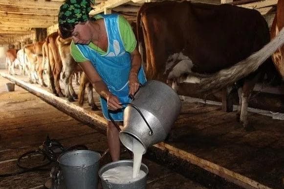В Башкирии определят цены на сырое молоко