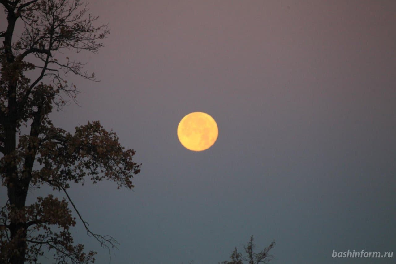 Жители Башкирии смогут увидеть полное лунное затмение