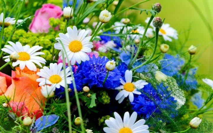 В Уфе пройдет День цветов