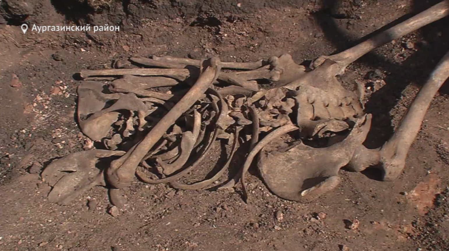 В Башкирии археологи нашли массовое захоронение детей