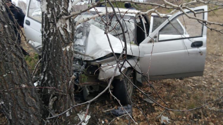 В Абзелиловском районе водитель съехал в кювет и врезался в дерево: погиб человек