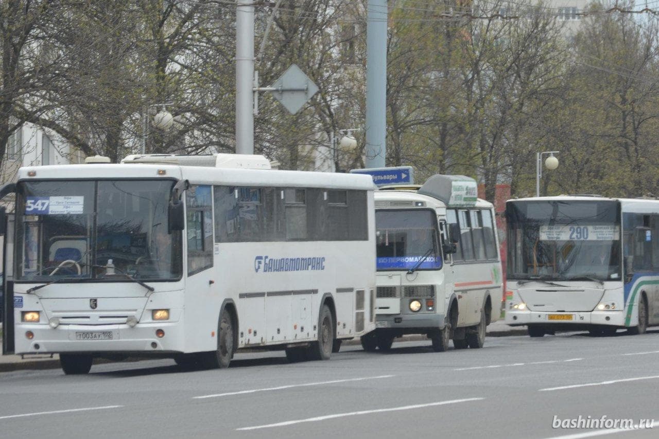 Автобусы "Башавтотранса" будут работать в две смены