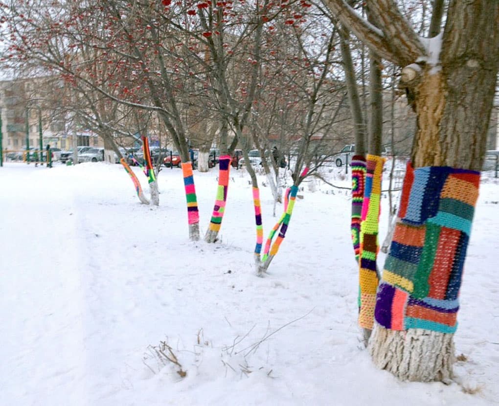 Ребята из Сибая связали для деревьев города разноцветные шарфы