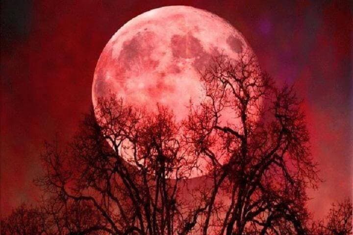 21 января жители Башкирии станут свидетелями полного лунного затмения