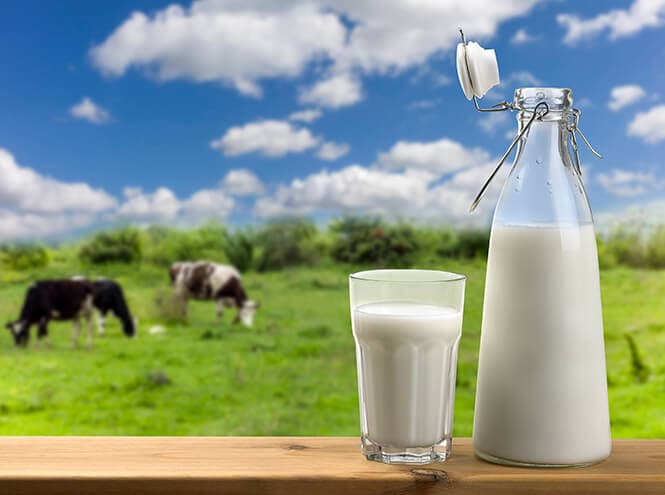 Чекмагушевский район оказался в лидерах по производству молока