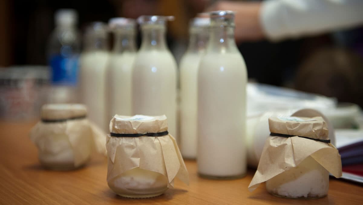 Радий Хабиров поручил правительству Башкортостана проработать идею создания молочных кухонь