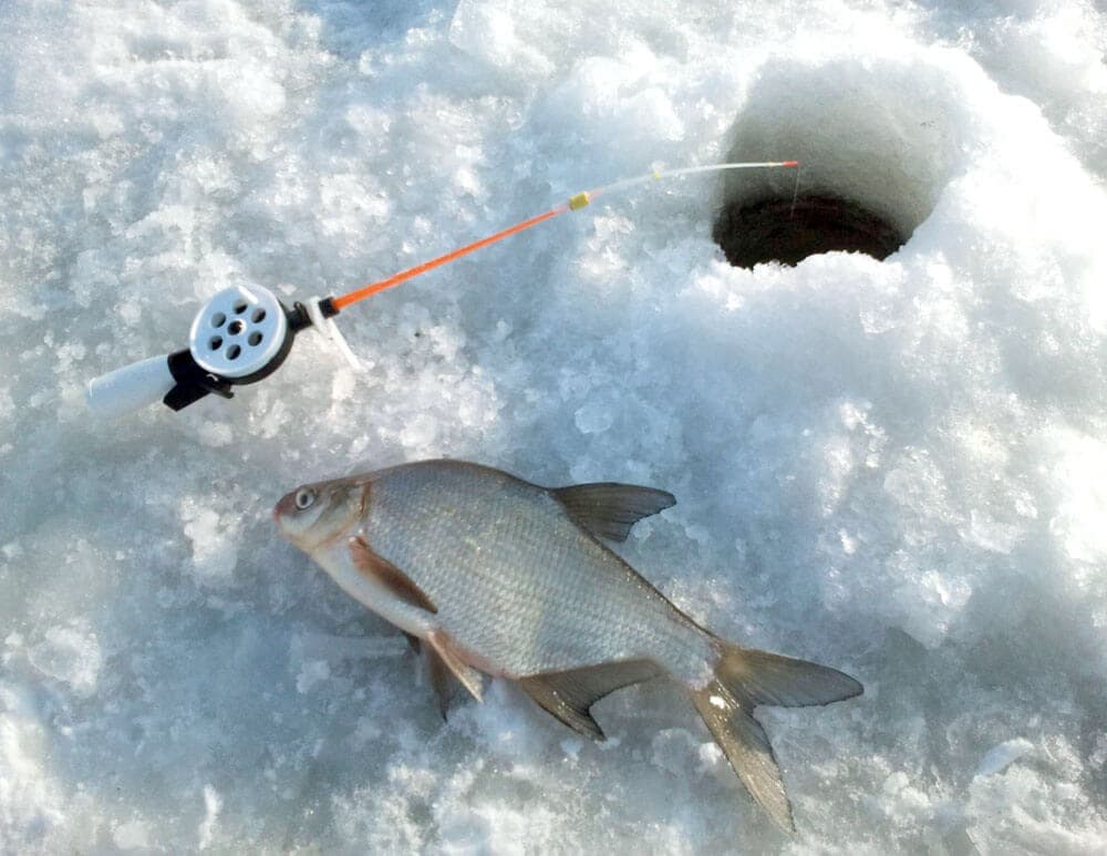 В Стерлитамакском районе пройдет фестиваль зимней рыбалки «Ледниковый период -2019»