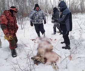 В Благоварском районе Башкирии депутат райсовета занимался браконьерством с сотрудником полиции