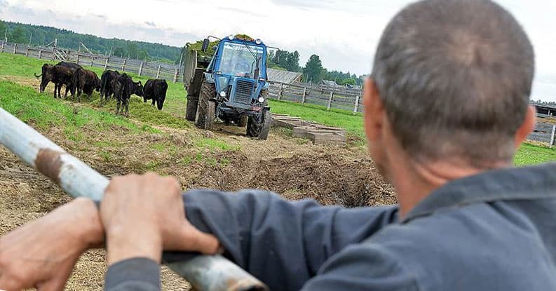 Башкирия получит из федерального бюджета более 800 млн рублей на развитие фермерства