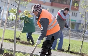 В Башкирии пройдет акция по посадке деревьев и кустарников «Зеленая Башкирия»