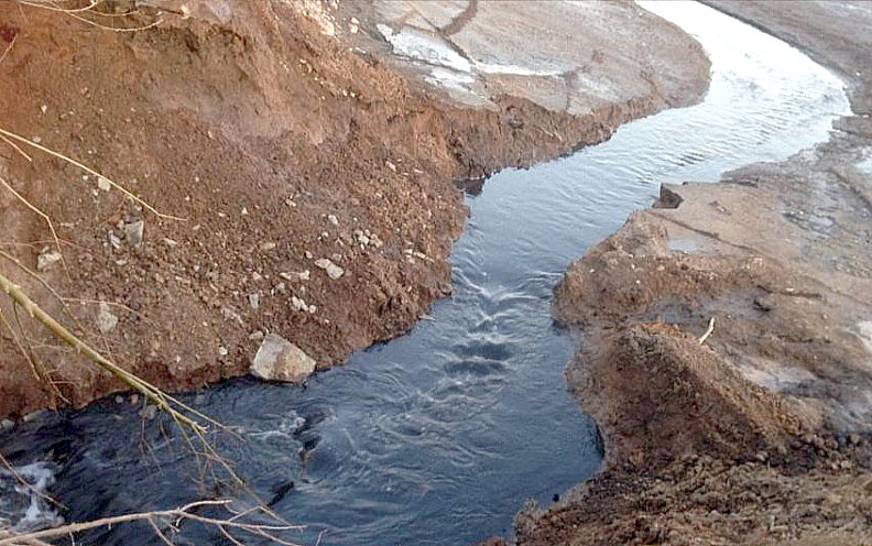 В поселке Нагаево неизвестные разрушили дамбу пруда, погибла рыба