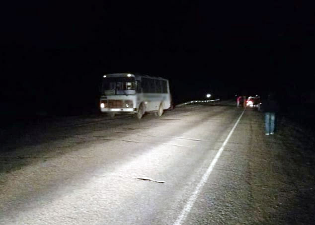 В Мелеузовском районе водитель автобуса сбил мужчину перебегавшего дорогу