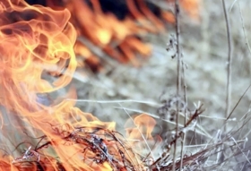 В Башкирии будет действовать особый противопожарный режим