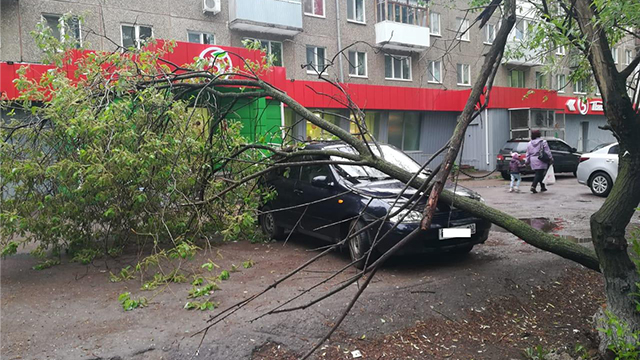 В Уфе сильный ветер повалил деревья на припаркованные автомобили