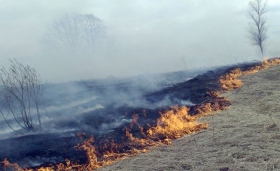 В Башкирии продолжают действовать три очага природных пожаров
