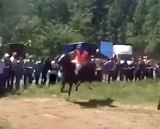 В Бакалинском районе во время сабантуя лошадь с наездником влетела в толпу людей