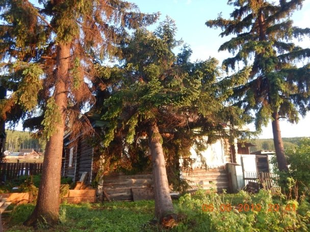 В Белорецком районе сильный ветер повалил дерево на дом
