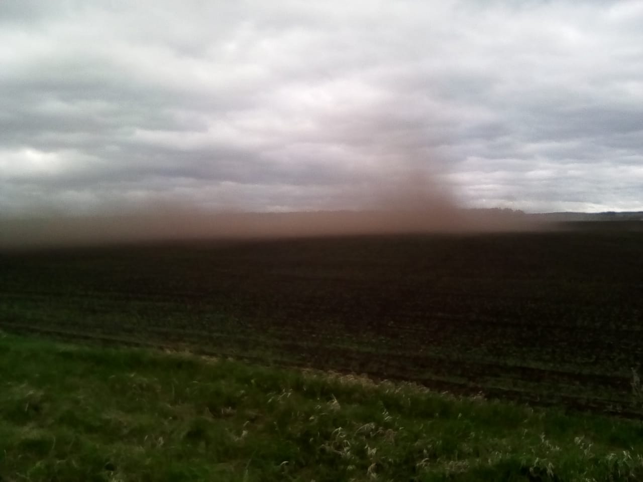 В Альшеевском районе сильный ветер уничтожил 600 гектаров посевов