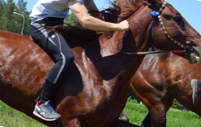 В Аскинском районе во время скачек на сабантуе лошадь влетела в людей