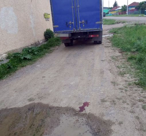В Кигинском районе два малолетних ребенка попали под колеса грузовика