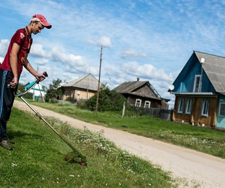 Россиян могут лишить земельных участков за мусор и сорняки