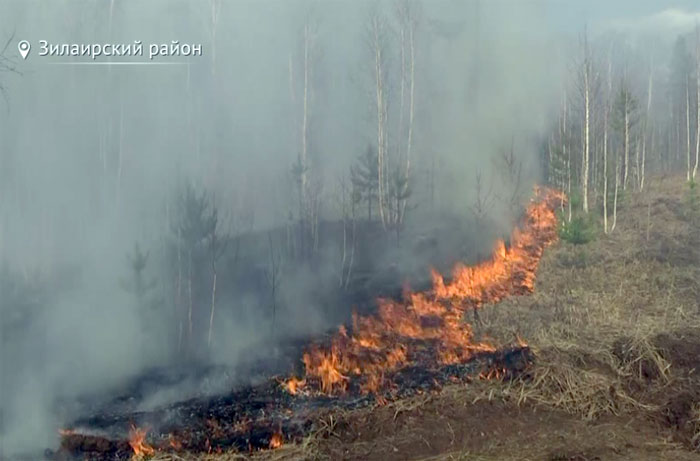 В Зилаирском районе бушует лесной пожар на площади 15 гектаров