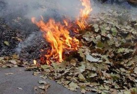 В Башкирии штраф за сжигание мусора составит от 500 рублей до 100 тысяч рублей