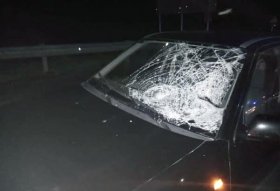 ДТП в Дюртюлинском районе: под колесами «Нексии» погиб пожилой мужчина