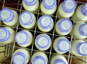 В Кигинском районе построят седьмой в республике завод по производству молочной кухни
