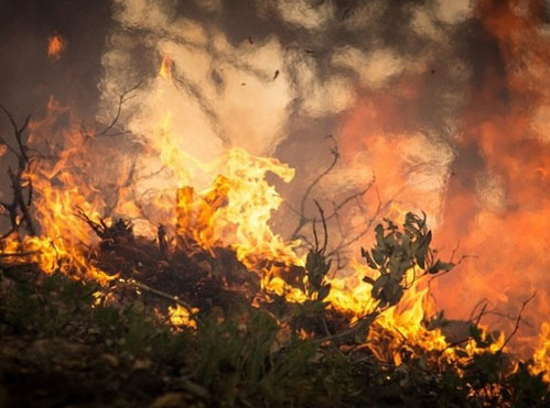 Пожары в Башкирии за последние сутки: прогнозируется 1 класс пожарной опасности