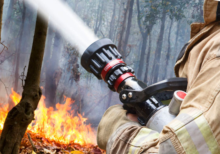 Башкирия дополнительно получит федеральные средства на покупку техники для тушения лесных пожаров