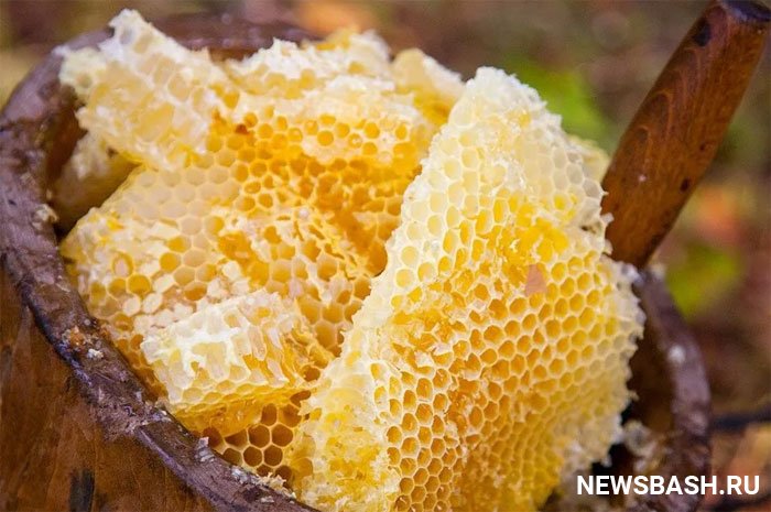 В Белебеевском районе пройдет праздник пчеловодов «Пчелотуй»