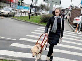 Уфимку с собакой-поводырем не пустили в автобус: ситуацию прокомментировали в Госкомтрансе