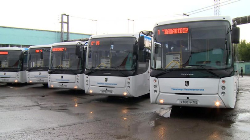 В Башкирии объявили о начале реформ в сфере общественного транспорта