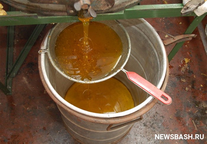 У жительницы Чишминского района украли два ведра меда
