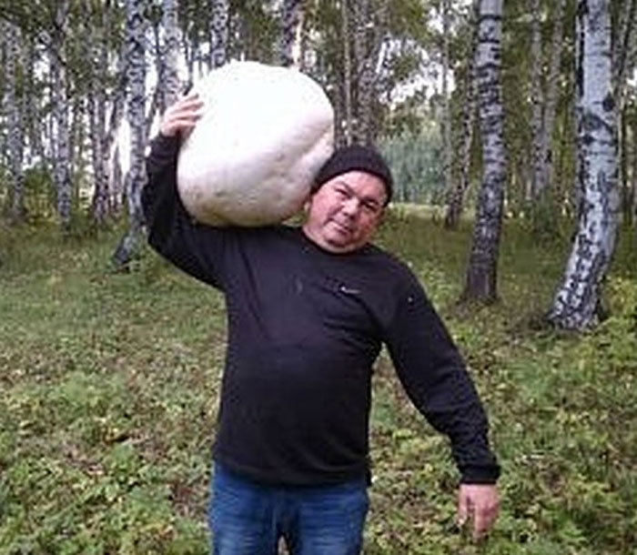 Житель Кармаскалинского района обнаружил в лесу огромный гриб