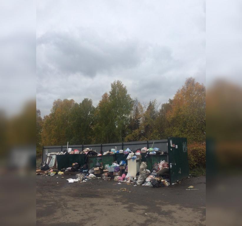 В Белорецке мусорная площадка превратилась в большую свалку