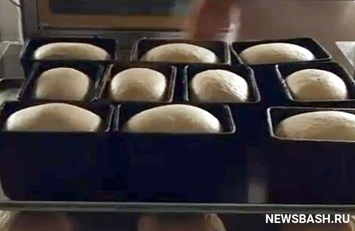 В Башкирии запустили промышленное производство хлеба из тритикале