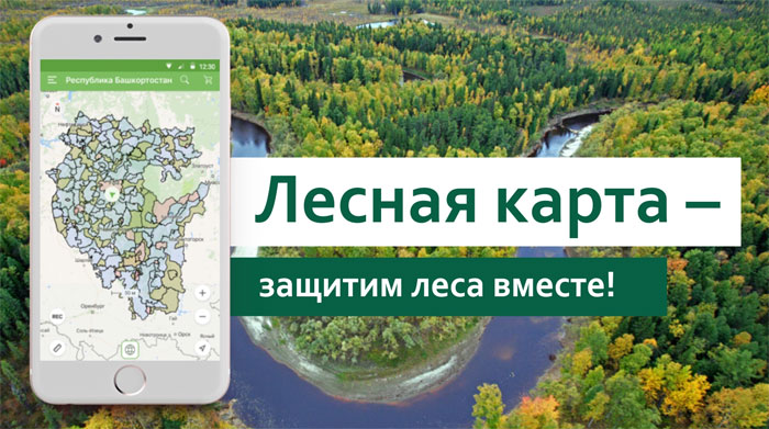 О незаконной вырубке леса в Башкирии можно сообщить через мобильное приложение «Лесная карта РБ»