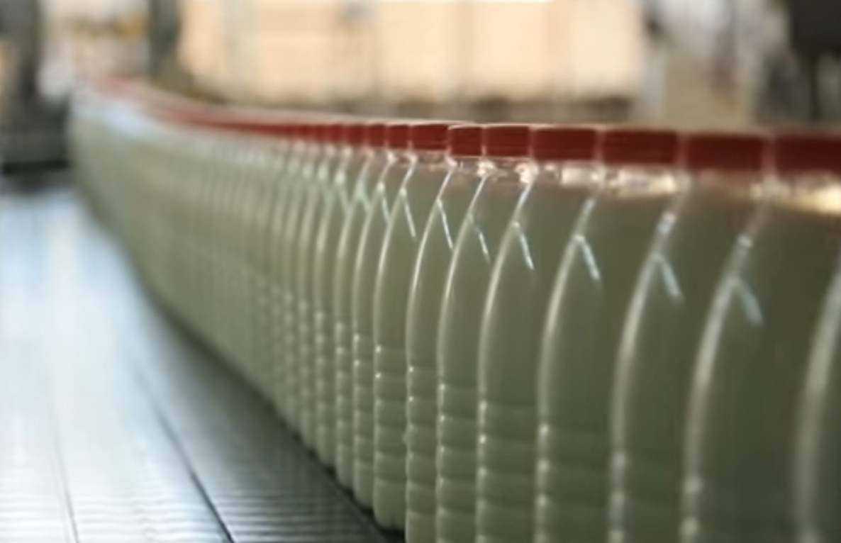Башкирия заняла второе место в России по производству молока