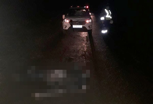 ДТП в Давлекановском районе: на дороге Давлеканово-Буздяк водитель сбил сразу двух пешеходов