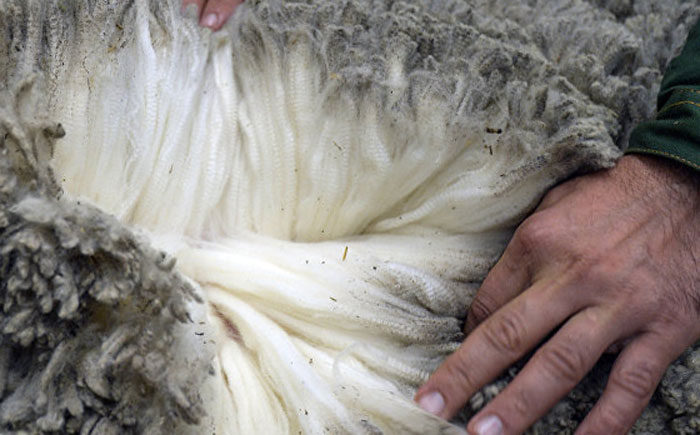 В Бураевском районе планируют производить трикотажные изделия из переработанной шерсти