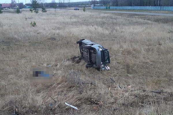 Авария в Краснокамском районе: водитель «Лады Приоры» погиб опрокинувшись в кювет
