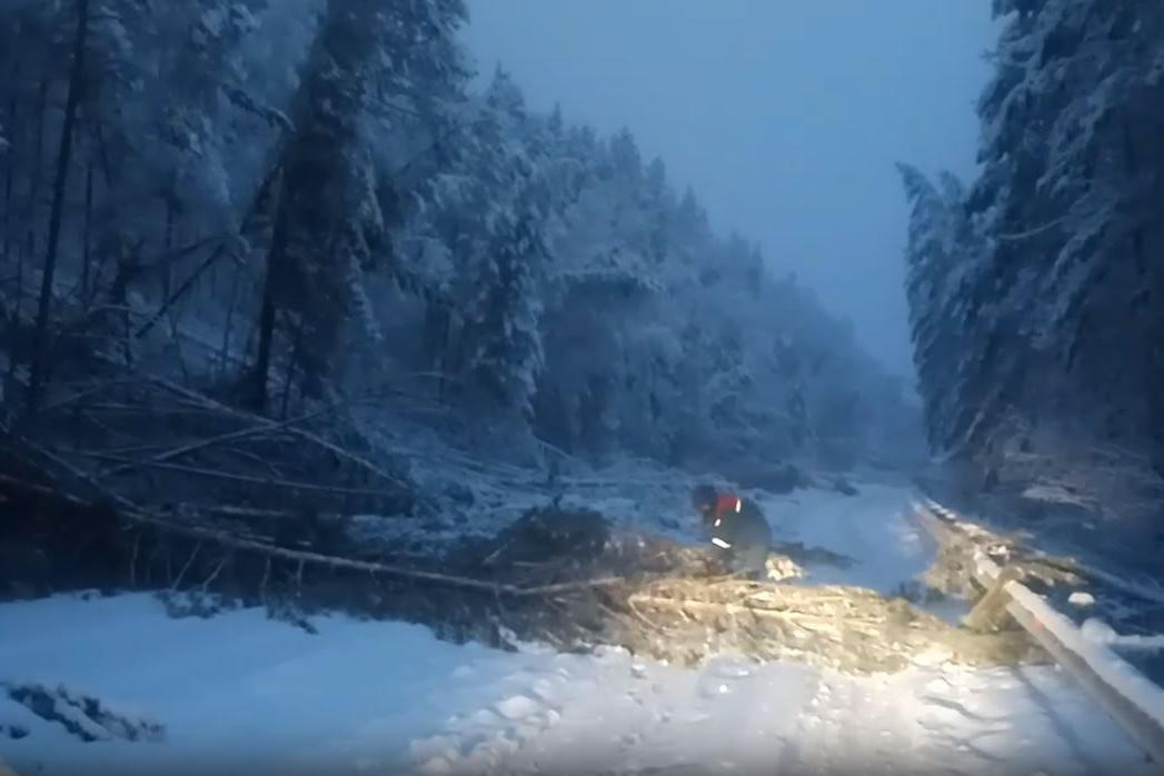 Снег в Белорецке привел к падению деревьев на трассу Белорецк — Авзян