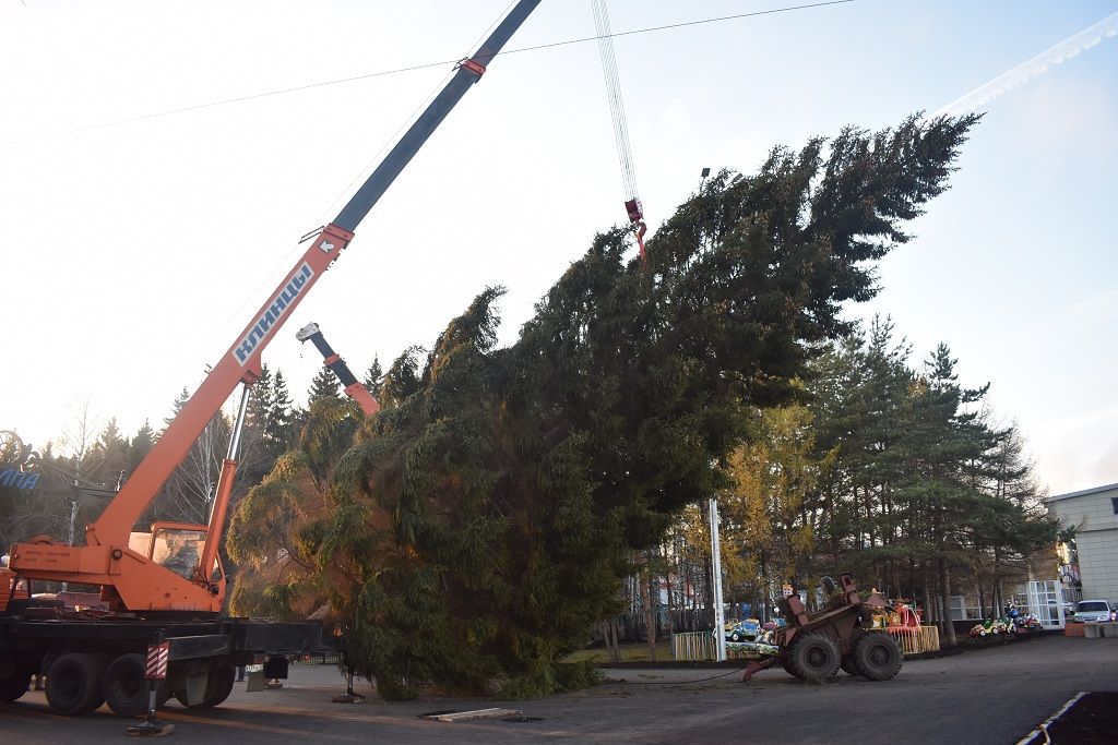 В Ленинском районе Уфы установили новогоднюю елку