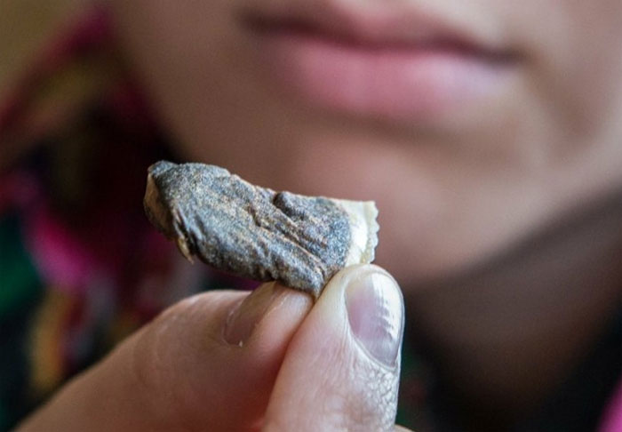 В Стерлитамаке школьник получил тяжелое отравление съев жевательный табак «снюс»