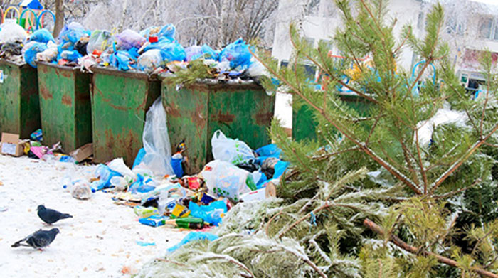 Радий Хабиров дал указание на Новый год вывозить мусор без выходных