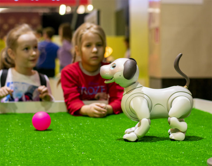 В Уфе пройдет Новогодний фестиваль роботов