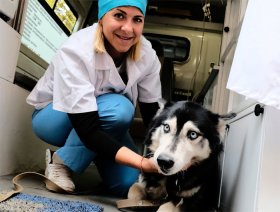 В Уфе начнет работать скорая ветеринарная помощь